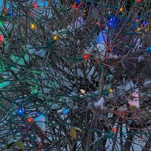 Meet your Posher, Taehee